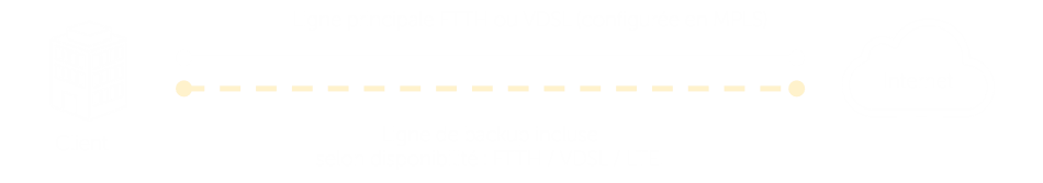 Schema Business VPN Silver