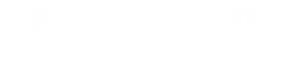 Schéma P2P