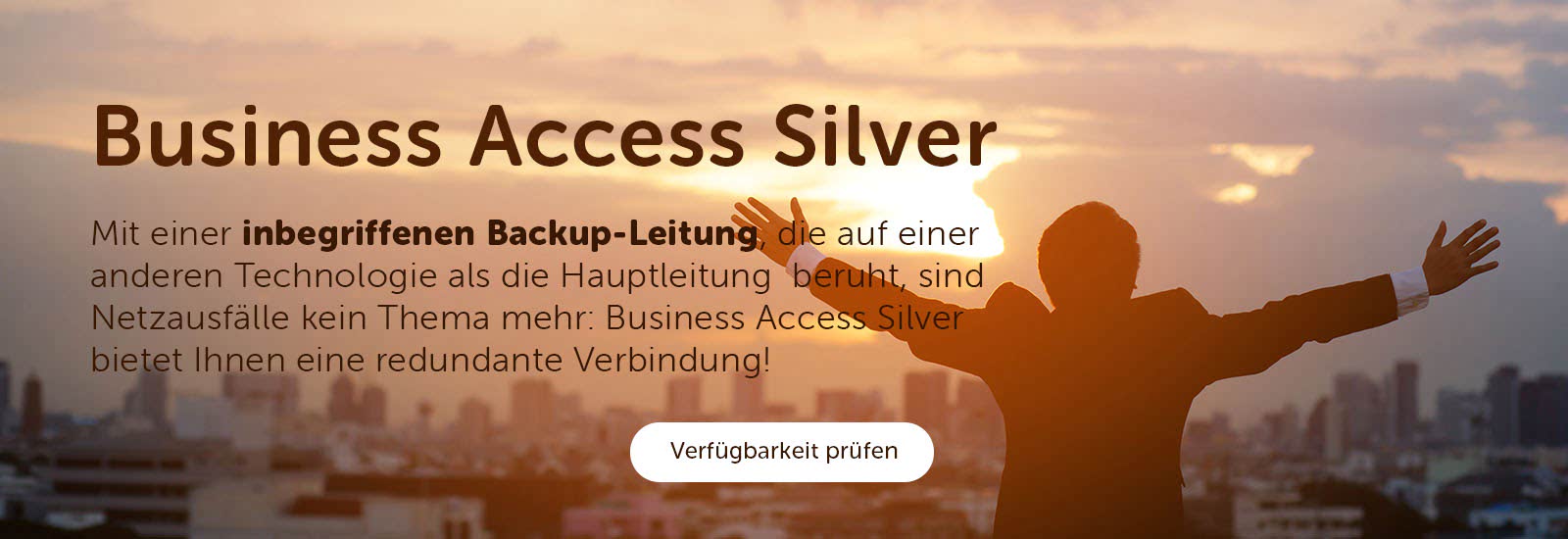 Business Access Silver - Mit einer inbegriffenen Backup-Leitung, die auf einer anderen Technologie als die Hauptleitung beruht, sind Netzausfälle kein Thema mehr: Business Access Silver bietet Ihnen eine redundante Verbindung!