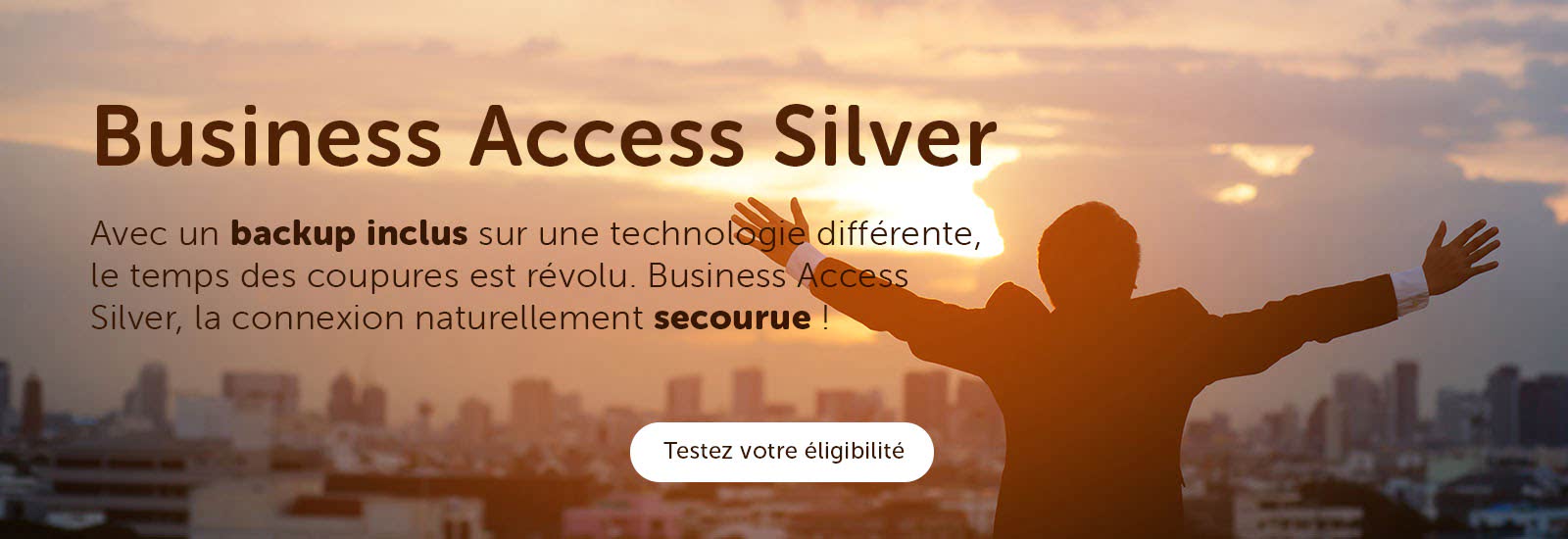 Business Access Silver - Avec un backup inclus sur une technologie différente, le temps des coupures est révolu. Business Access Silver, la connexion naturellement secourue !