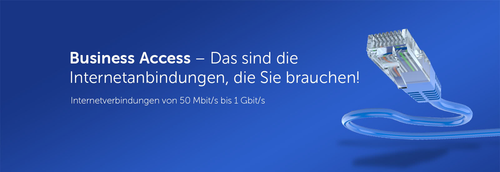 Business Access - Das sind die Internetanbindungen, die Sie brauchen!
