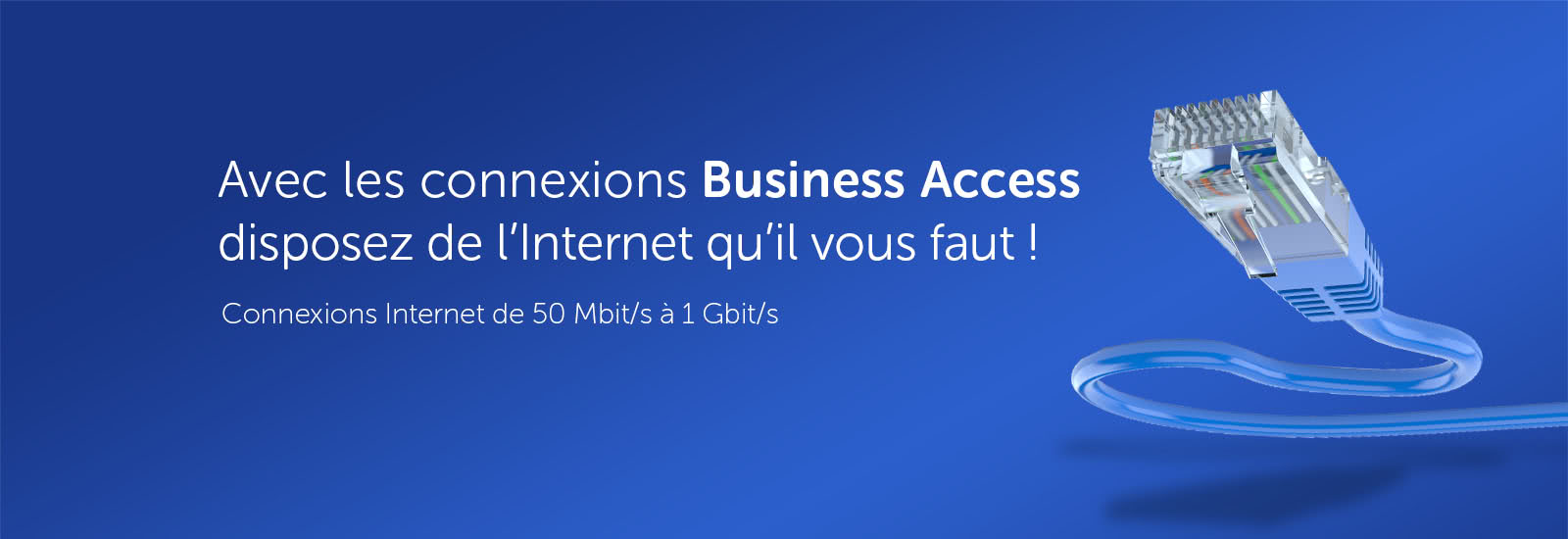 Avec les connexions Business Access vous disposez de l'Internet qu'il vous faut!