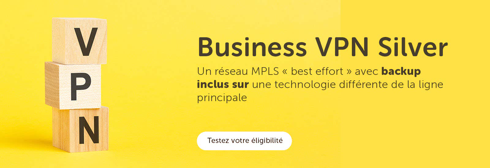 Business VPN Silver - Un réseau MPLS «best effort» avec backup inclus sur une technologie différente de la ligne principale