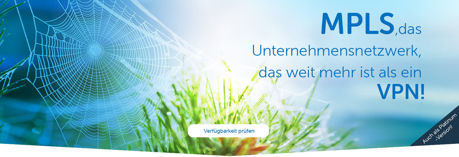 MPLS, das Unternehmensnetzwerk, das weit mehr ist als ein VPN!