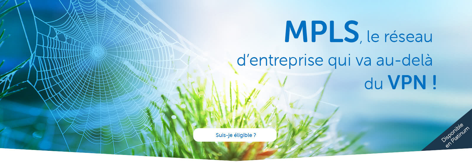 MPLS, le réseau d’entreprise qui va au-delà du VPN !