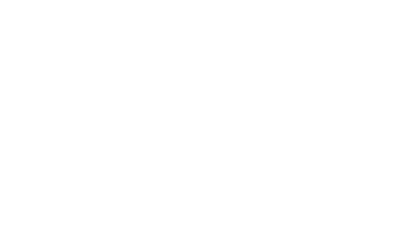 VTX Virtual PBX
